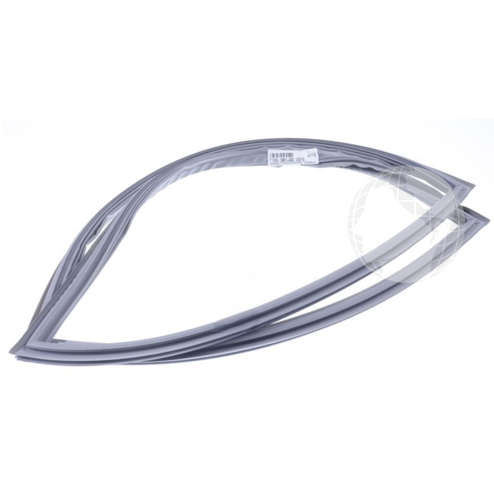 Guarnizione (sostituito da 710998100)